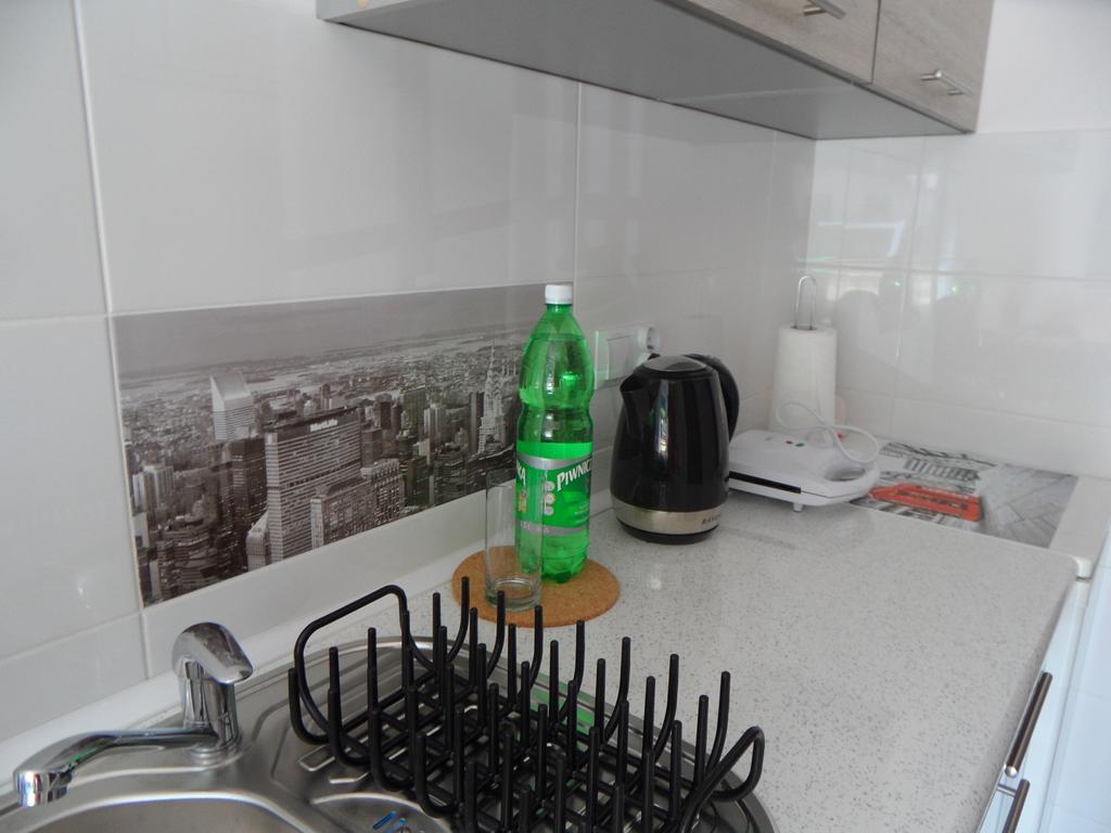 Apartament Kraszewskiego Криниця-Здруй Екстер'єр фото
