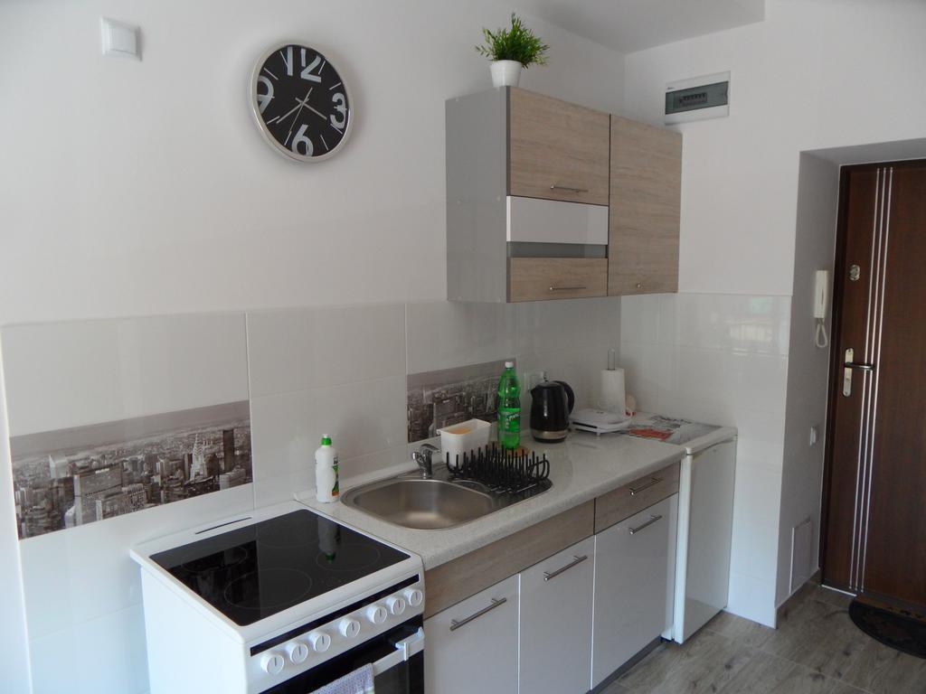 Apartament Kraszewskiego Криниця-Здруй Екстер'єр фото
